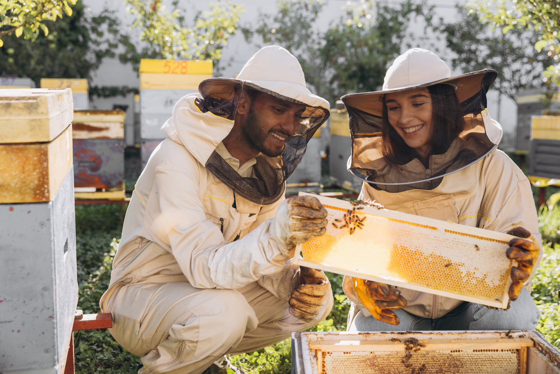Construction de ruches, nichoirs et hôtels à insectes